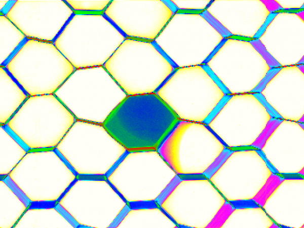 Easy to use, scalable, reliable solutions Small agile robot, switch modalities via end effectors, single interface. Omni NDE solves inspection challenges CFRP / metal assemblies, CMCs for hypersonics, CFRP joints (kissing bond) Aluminum honeycomb Radiograph showing honeycomb with 40µm septa. One cell is filled with water.