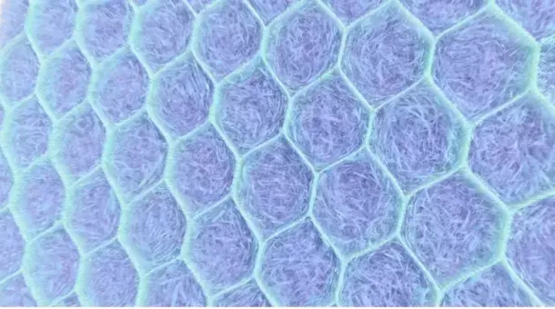 Honeycomb w fiber 1-100