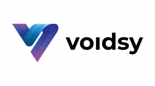 Voidsy Logo