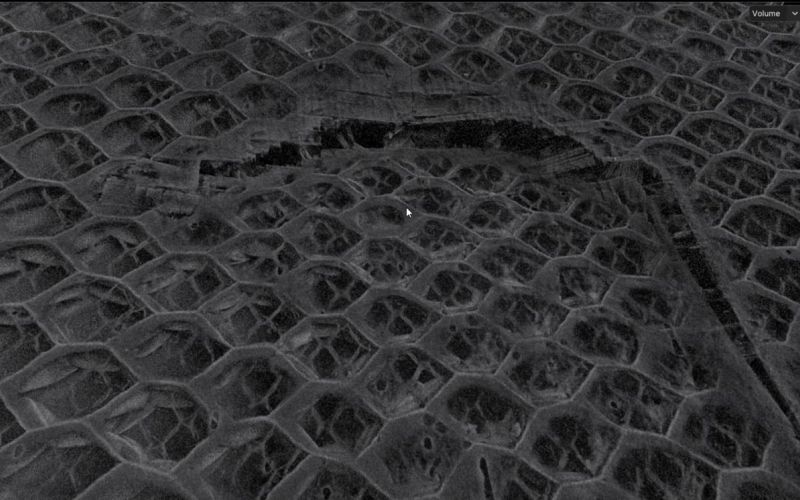 Aluminum honeycomb CFRP Skin