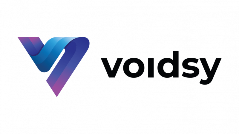 Voidsy Logo