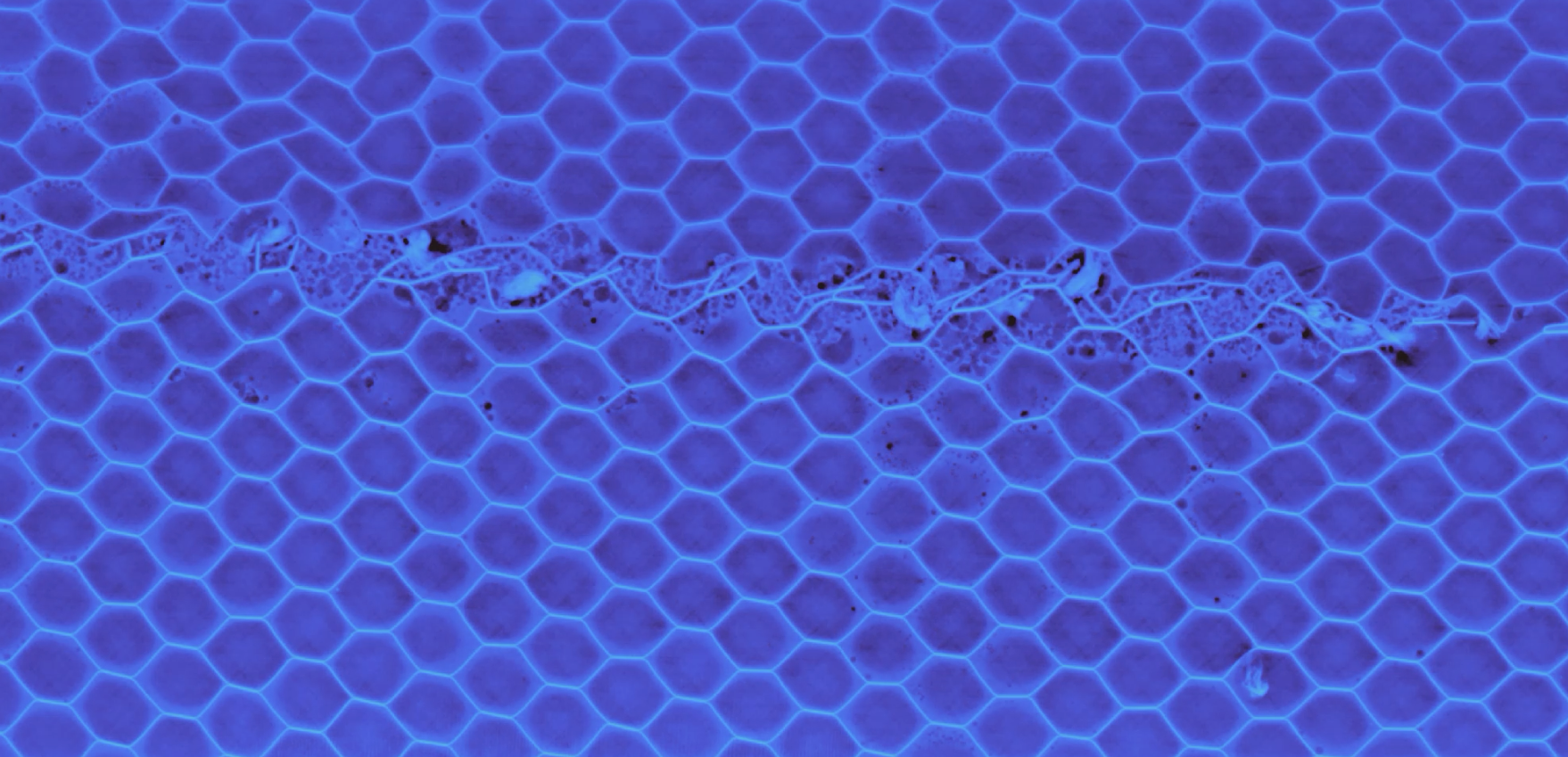 Robot CT scan showing honeycomb core splice